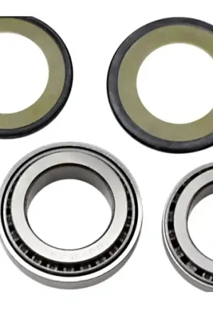 221014 CUSCINETTI STERZO KAWASAKI ER-5, BN125, EX300/400/500, ZR7 750 ENTRA X APPLICAZIONI A Buon Prezzo